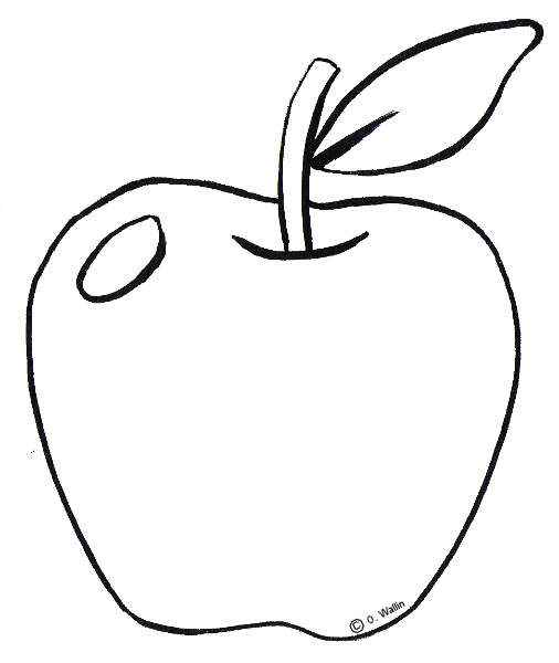  Dibujos de frutas y hortalizas